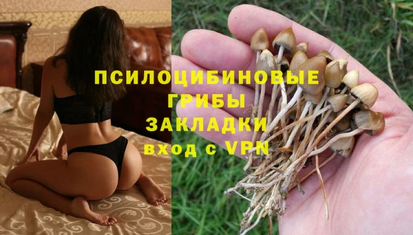 а пвп мука Алексин
