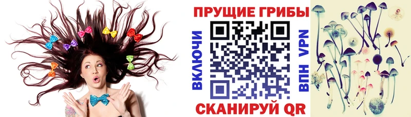Галлюциногенные грибы прущие грибы Алексеевка
